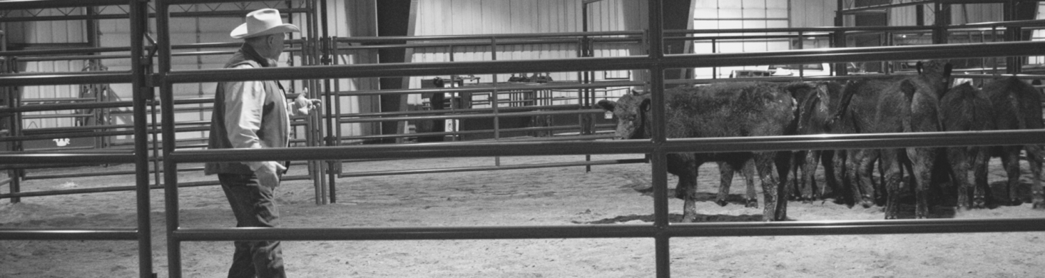 Livestock handling